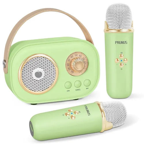 Image of PRUNUS C20 Mini Karaoke Speaker System