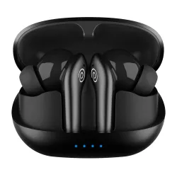 pTron Zenbuds Evo X1 Pro TWS Earbuds