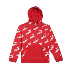 Puma Boys Cotton Hooded Sweatshirt