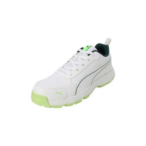 Image of Puma Men Cricket Classicat Cricket Shoe