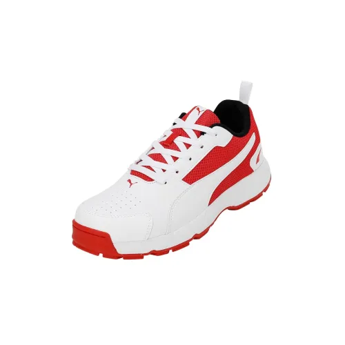 Image of Puma Men Cricket HighRun Cricket Shoe