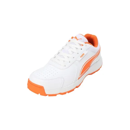 Image of Puma Mens Cricket Strike Cricket Shoe