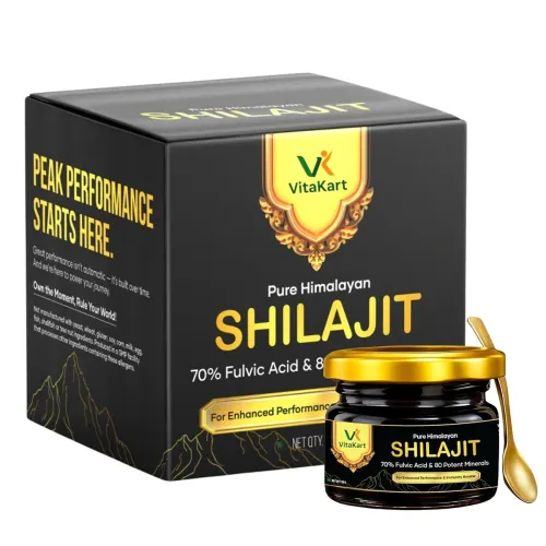 Image of Pure Himalayan Shilajit Resin (20g)