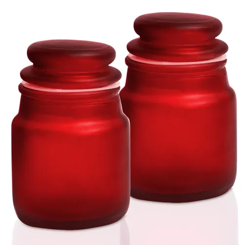 Image of Pure Source India Frosted Glass Spice Jar