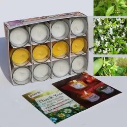 Pure Source India Pack of 12 Votive Scented Candles – Assorted Fragrances | Long-Lasting Aromatherapy Candles for Home, 