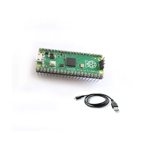 Image of Raspberry Pi Pico Headers with Micro USB Cable