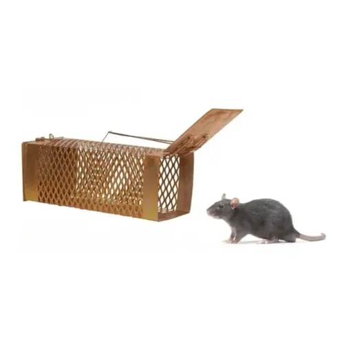 Image of Rat Trap Cage Rustic Copper