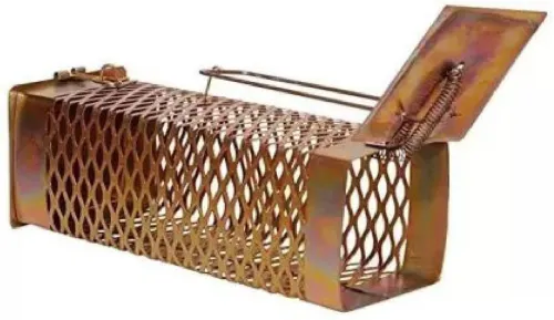 Image of Ratopolis Iron Rat & Mouse Trap Cage