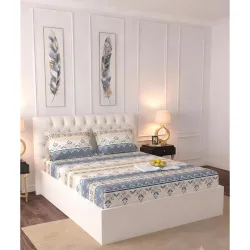 Raymond Home Super Soft Floral King Size Bedsheet (Multicolor)