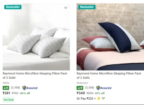 Image of Raymond Pillows Pack of 2 Starting at ₹281