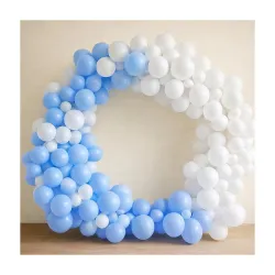 Regular Balloon Combo For Decoration