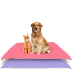 Reusable Dog Pee Pads 100 x 70 cm (Medium) | Pack of 2