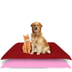 Waterproof Reusable Washable Pee Pads & Hygenic Pet Dry Sheet | Training Pads for All Pet | Size- 100 x 70 Cm Medium Com
