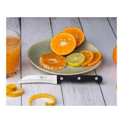 RICHARDSON SHEFFIELD Artisan Peeling Knife 3.5 Kitchen Knife | Surgical Blade Knife | Best Knife for Kitchen Use