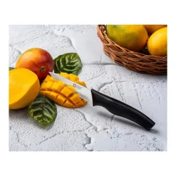 RICHARDSON SHEFFIELD Chef Mate Paring Knife 3.5\ Knitchen Knife | Surgical Blade Knife | Best Knife for Kitchen Use