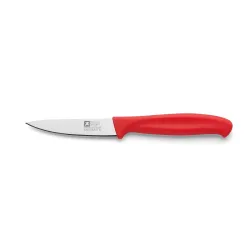 Richardson Sheffield Paring Knife