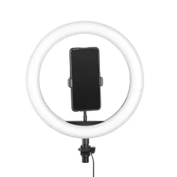 Ring LED 18 Inches(45cm) Dual Colour Professional LED Ring Light with Carry Bag
