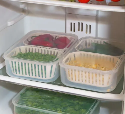 Image of RK EMPIRE Plastic Fridge Container - 2500 ml (Clear)