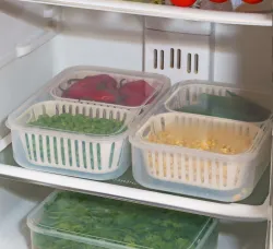 RK EMPIRE Plastic Fridge Container  - 2500 ml (Clear)