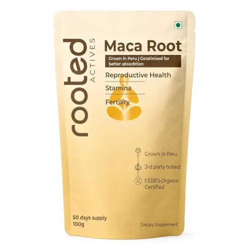 Image of Rooted Active's Organic Maca Root Powder 100 Grams