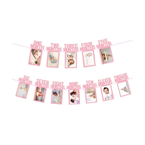 Image of Rozi 1st Birthday Monthly Photo Banner | 12 Cards Pink Decoration