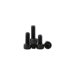 Rpi Shop M3 x 10mm Socket Head Cap Screws, Po10