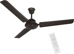 RR Josh BLDC 1200mm Ceiling Fan