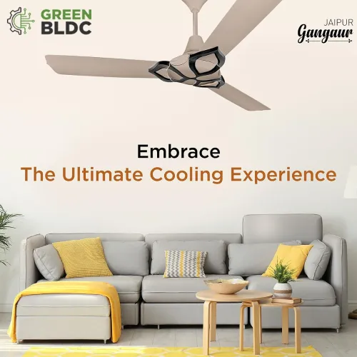 Image of RR Signature Jaipur Gangaur BLDC 28W 5-Star Ceiling Fan with Remote (Champagne Gold)