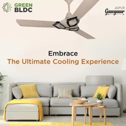 RR Signature Jaipur Gangaur BLDC 28W 5-Star Ceiling Fan with Remote (Champagne Gold)