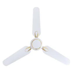 RR Signature Dhoom BLDC 1200mm Ceiling Fan, 350 RPM High Speed, 35-Watt Power Consumption (2-Year Warranty, White)
