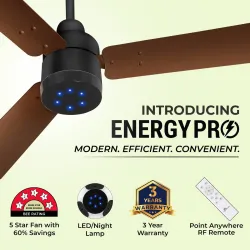 RR Signature Energy Pro BLDC Ceiling Fan with Remote