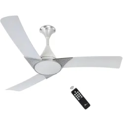 RR Signature Raptor 1200mm BLDC Designer Ceiling Fan | 350 RPM, 32W Low Power | 60% Energy Saving | Reverse Rotation | 4