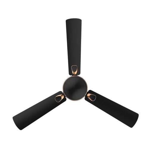 Image of RR Signature Triana 1200MM 2 Star BEE Certified Energy Efficient 50-Watt High-Speed Ceiling Fan For Home and Office (Bla