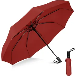 Rylan Automatic Windproof Travel Umbrella
