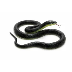 RZA 2026 ZA Realistic Black Rubber Snake Toy