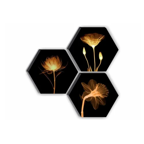 Image of SAF Set of 3 Hexagon Preety Brown Floral Painting