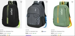 Safari bags upto 80% off