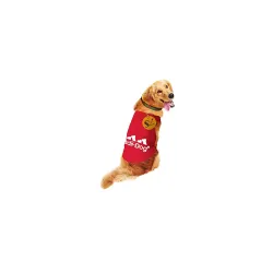 Sage Square Comfort Cotton Dog T-Shirt