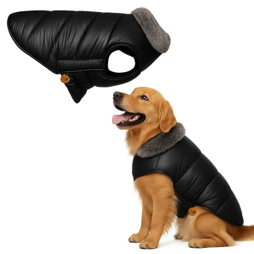 Image of Sage Square Dog Winter Jacket Waterproof Fur Collar