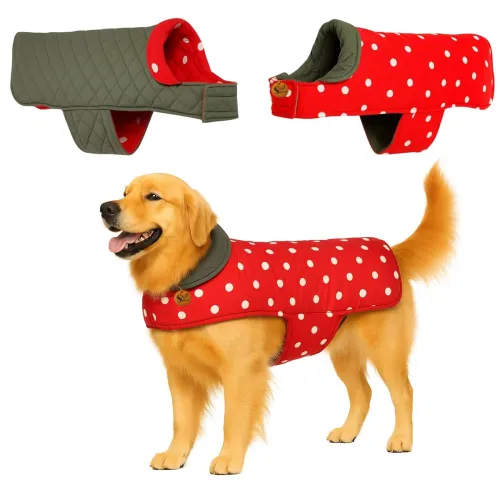 Image of Sage Square Dual-Sided Polka Dot Dog Jacket 