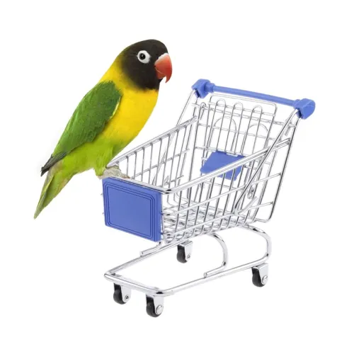 Image of Sage Square Mini Bird Shopping Trolley Toy