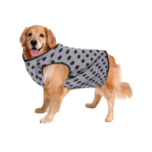 Image of Sage Square Funky Soft Material Dog T-Shirt