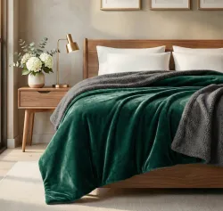 SANMARINO Solid Double Sherpa Blanket for Heavy Winter (Polyester, Green, Grey)