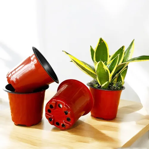 Image of Sapling's World Thermoformed Plastic Pots (Pack of 40)