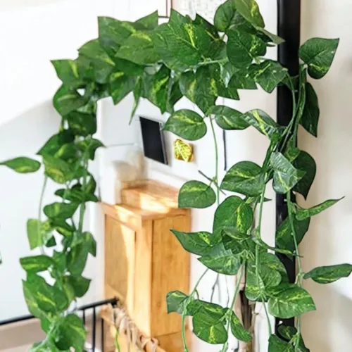 Image of SAUDEEP INDIA Artificial Money Plant Garland 7.2ft (3 Vines)