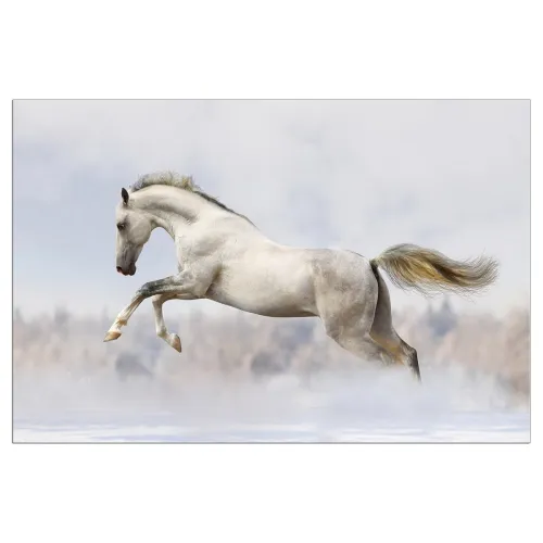 Image of Sehaz Artworks 'Silk White Horse' Wooden Wall Sign – 30x20 cm