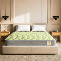 Shayan Dual Comfort Mattress | 4 inch Queen Size