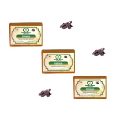 Shikakai Soap (3 x 125 g) | Ayurvedic Herbal Soap Bar for Face & Body | Gentle Natural Cleansing | Made in India