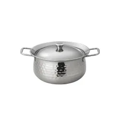 SHREESANMATI Stainless Steel Casserole with Lid