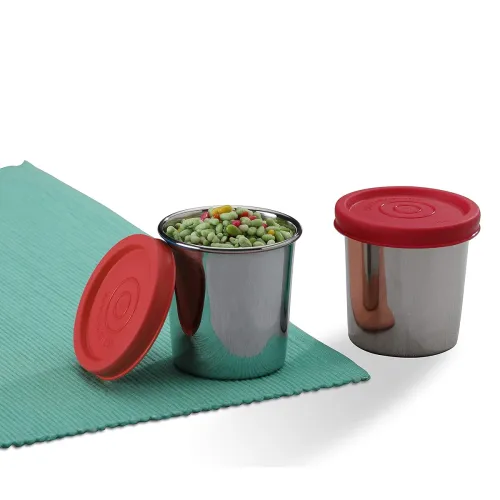 Image of Signoraware 100ml Stainless Steel Container Set